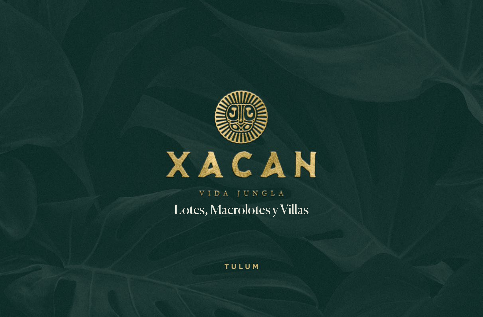 XACAN — Jungle living hero image