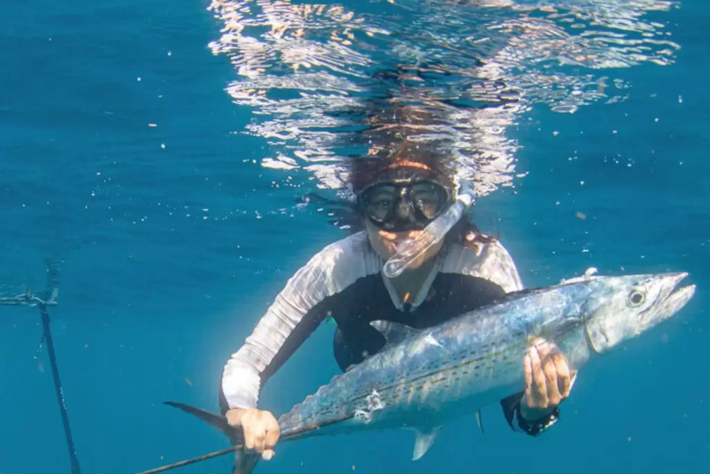 Freedive spearfisher in clear Caribbean waters